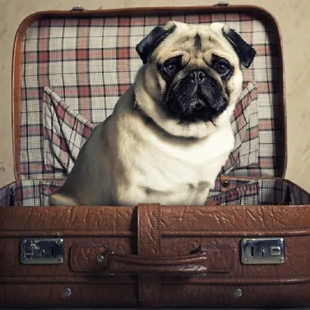 아파트 El Balcon De Moret By Cadiz4rentals 카디스