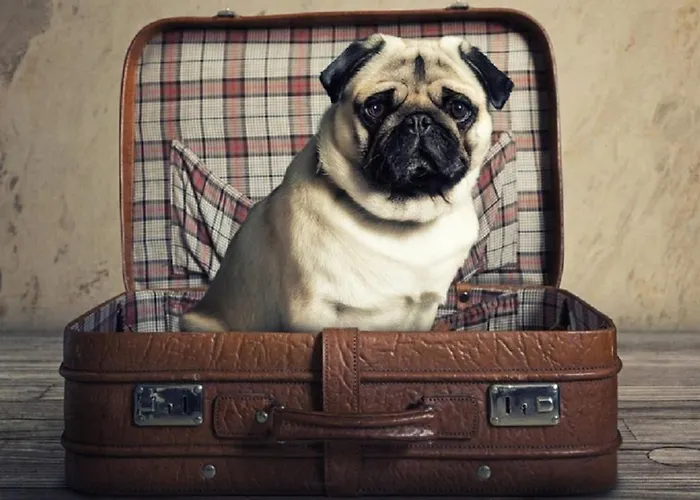 公寓 El Balcon De Moret By Cadiz4rentals 加的斯